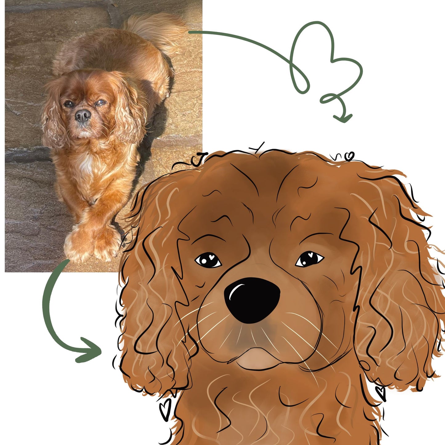 custom dog illustration